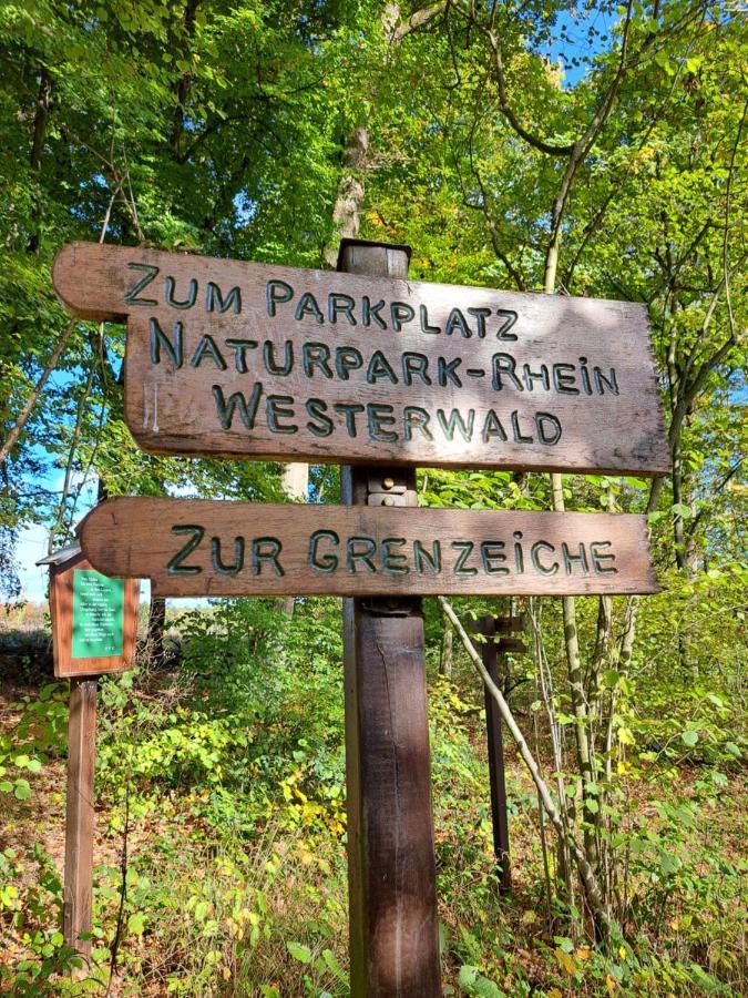 Steewer Landhaus Gemuetliche Ferienwohnung Bis 6 Pers In Ruhiger Ortsrandlage Stebach Eksteriør bilde