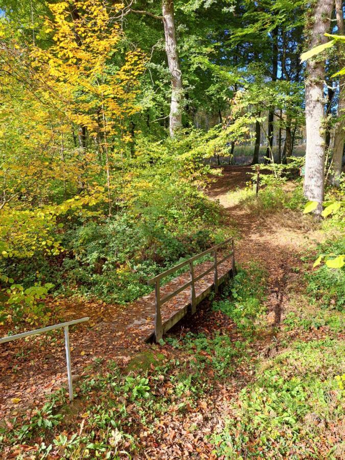 Steewer Landhaus Gemuetliche Ferienwohnung Bis 6 Pers In Ruhiger Ortsrandlage Stebach Eksteriør bilde